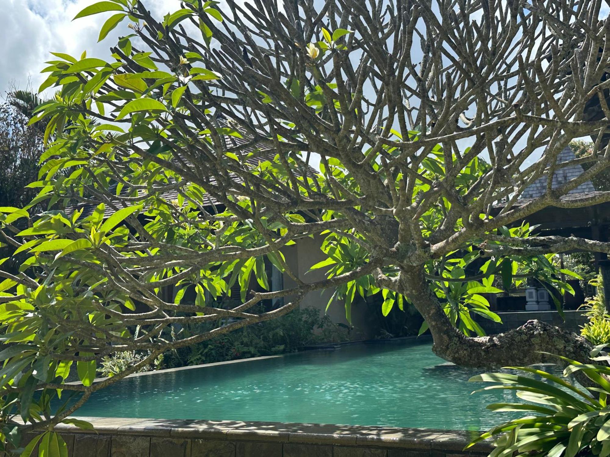 Villa Serenite Bel Ombre Luaran gambar